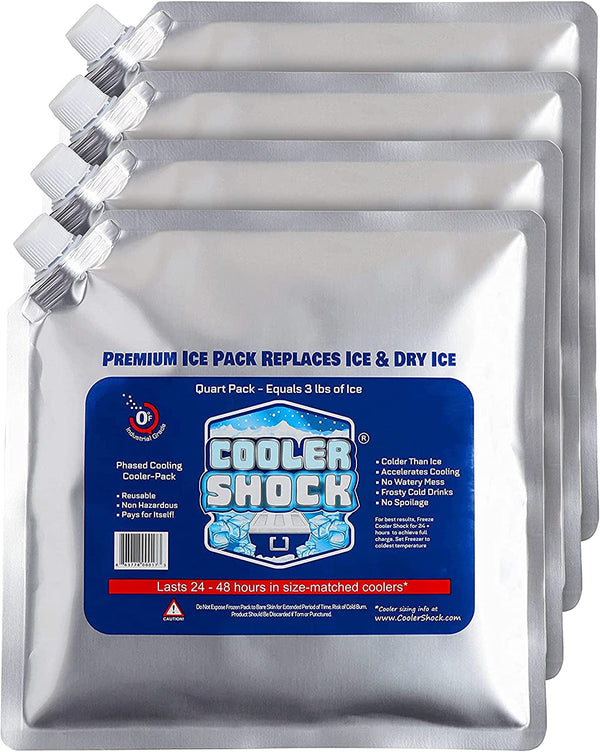 Cooler Shock Reusable Ice Pack - Set of 5