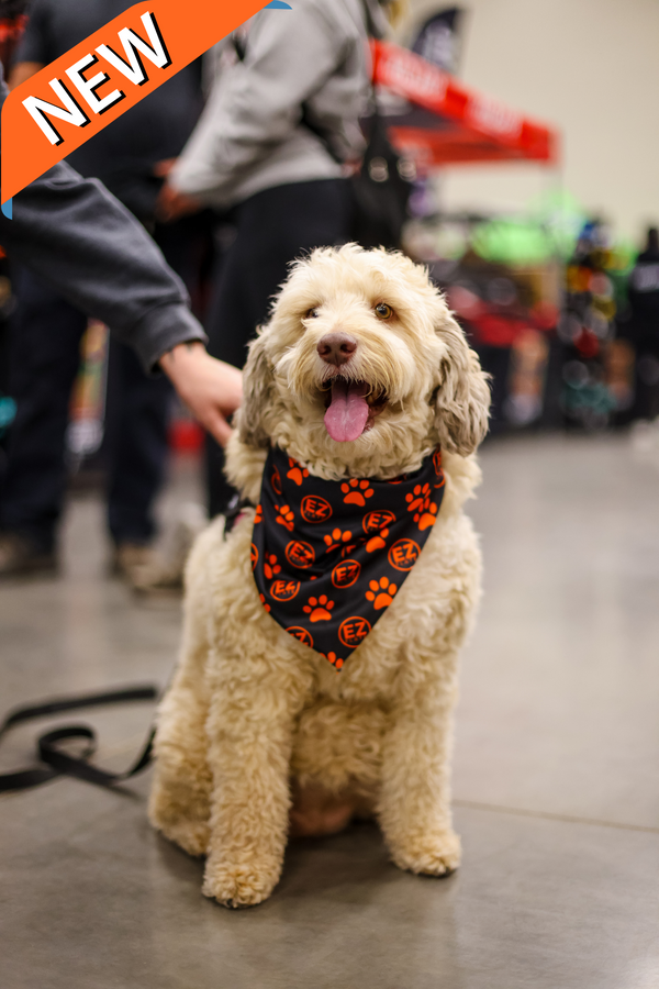 Dog Bandana